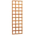 Hardhouten trellis rechthoek 56 x 180 cm.