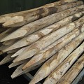 Kastanjehouten paal 250 cm, 10-12 cm dik