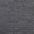 Gsb Gebakken waalformaat Lisse 200x48x60 mm