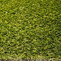Kunstgras Nature 4m¹ breed (poolhoogte 40 mm)