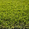 Kunstgras Superior 4m¹ breed (poolhoogte 45 mm)