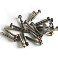 Schroef WEO Ipé tx 4,2x38mm(100) 100 schr./doosje +bit torx rvs AISI304 (1448)