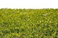 Kunstgras Nature 4m¹ breed (poolhoogte 40 mm)