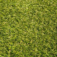 Kunstgras Magnifique 4m¹ breed (poolhoogte 45 mm)