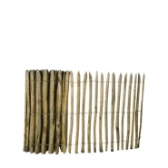 Hazelaarhek 120x500cm