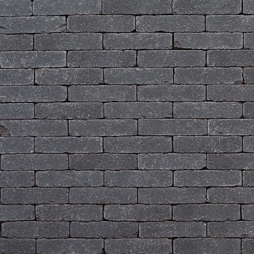 Gsb Gebakken waalformaat Lisse 200x48x60 mm