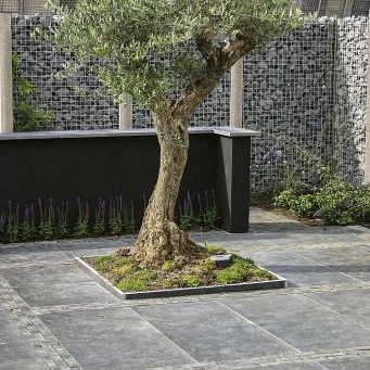 Blue Moon Honed Anticato 60x60x2,5 cm