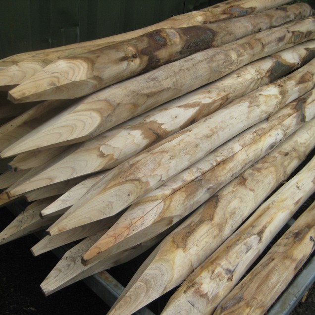 Kastanjehouten paal 250 cm, 10-12 cm dik