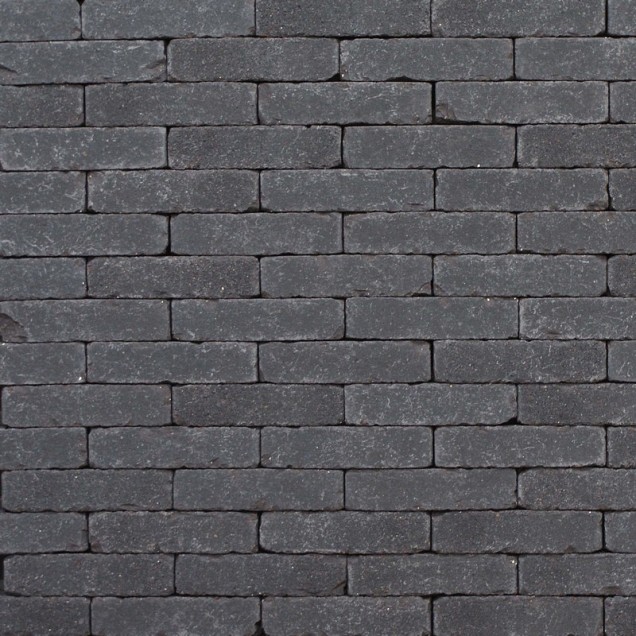 Gsb Gebakken waalformaat Lisse 200x48x60 mm