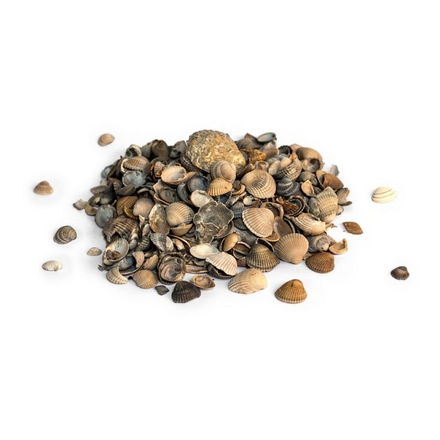 Schelpen 8-16 mm 15 Ltr