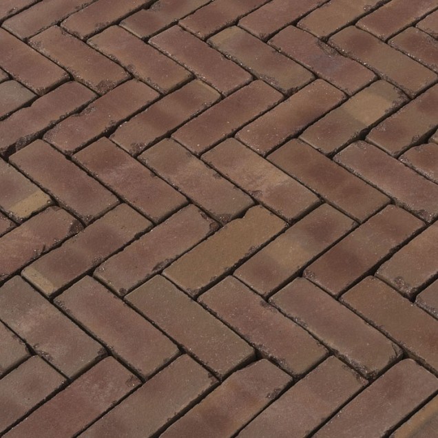 Gebakken dikformaat 60 mm Janena getrommeld