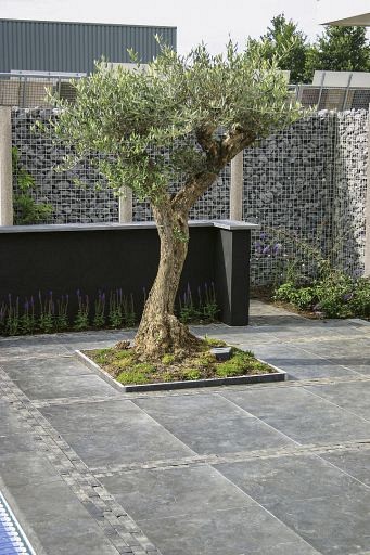 Blue Moon Honed Anticato 60x60x2,5 cm
